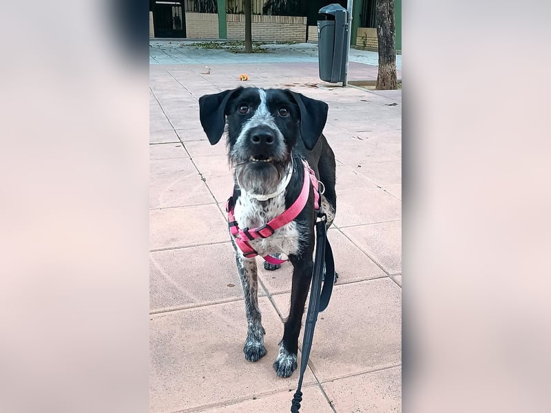 Frida