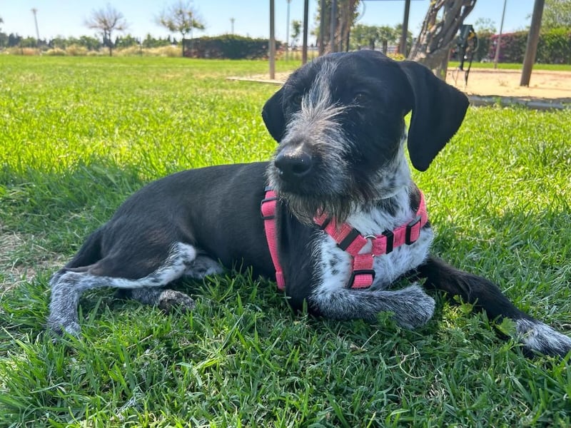 Frida