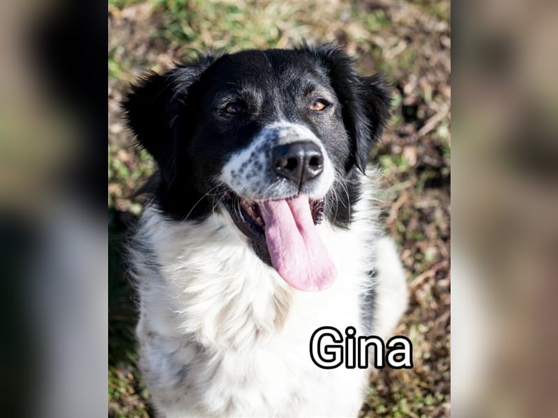 Liebevolle Gina sucht ihren Partner Mensch
