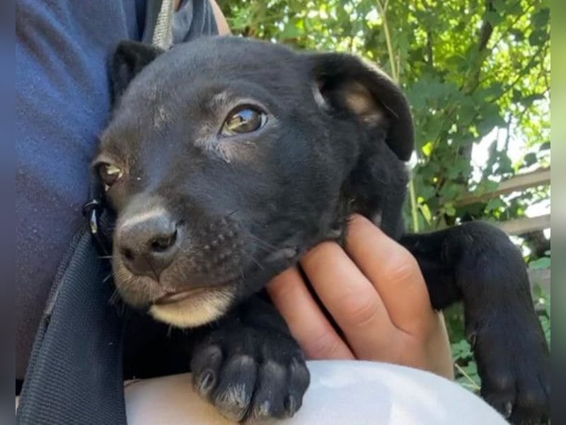 Kleine Luna ❤️ sanft, lieb + so neugierig