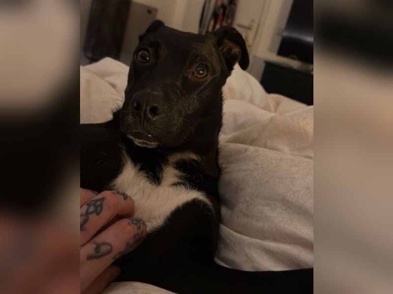 Greta ❤️ wartet in 45147 Essen
