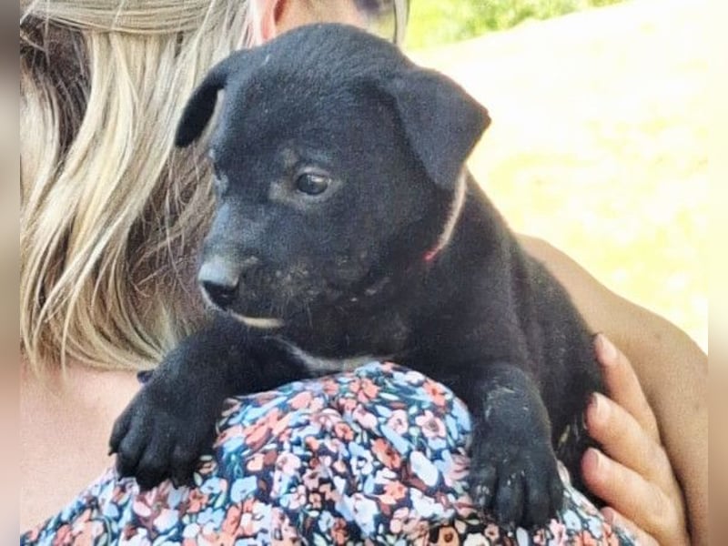 Kleine Luna ❤️ sanft, lieb + so neugierig