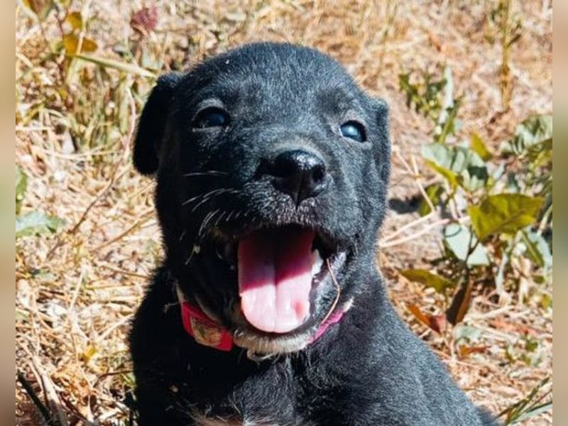 Kleine Luna ❤️ sanft, lieb + so neugierig