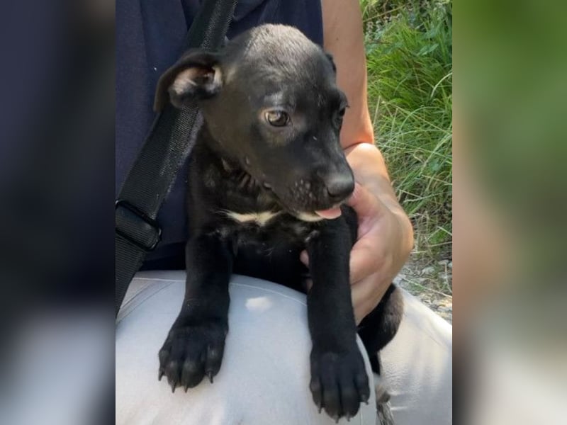 Kleine Luna ❤️ sanft, lieb + so neugierig