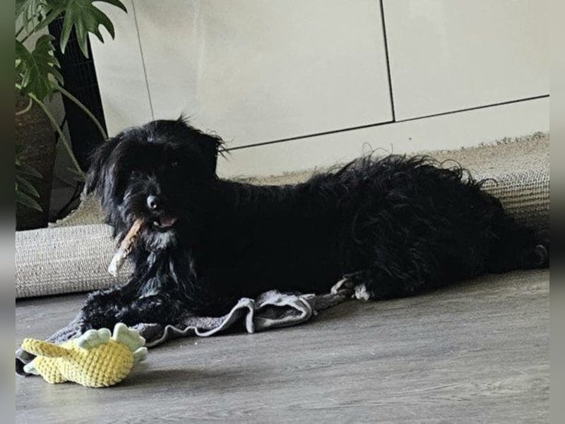 Trudi wartet in 45661 Recklinghausen