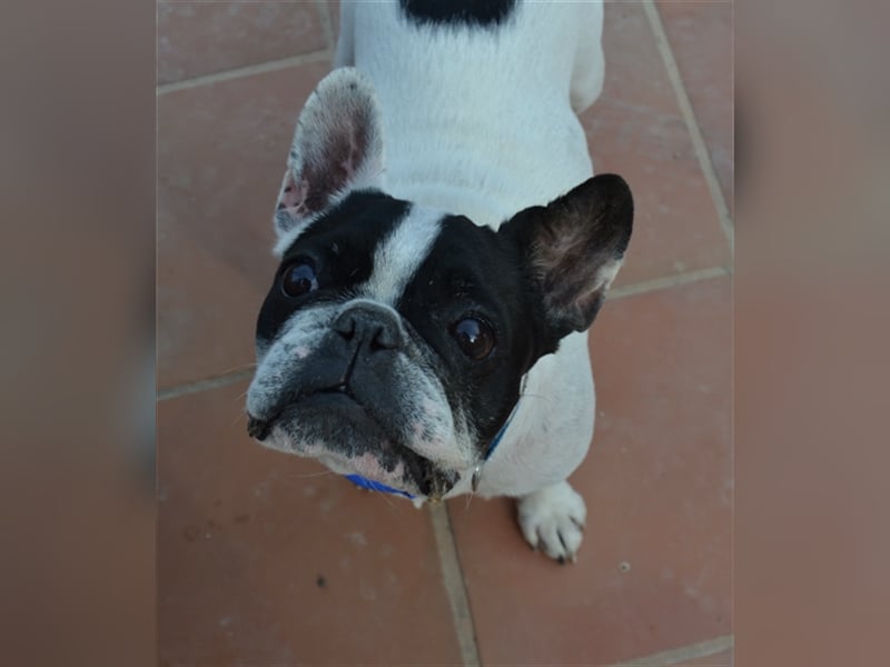 Lola