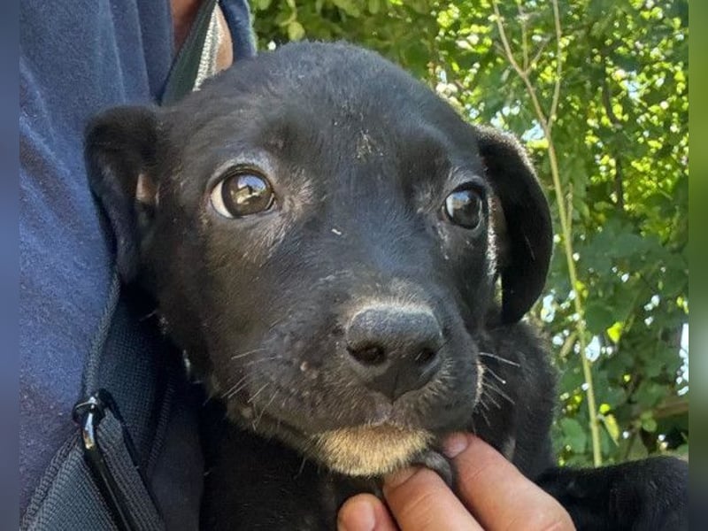 Kleine Luna ❤️ sanft, lieb + so neugierig