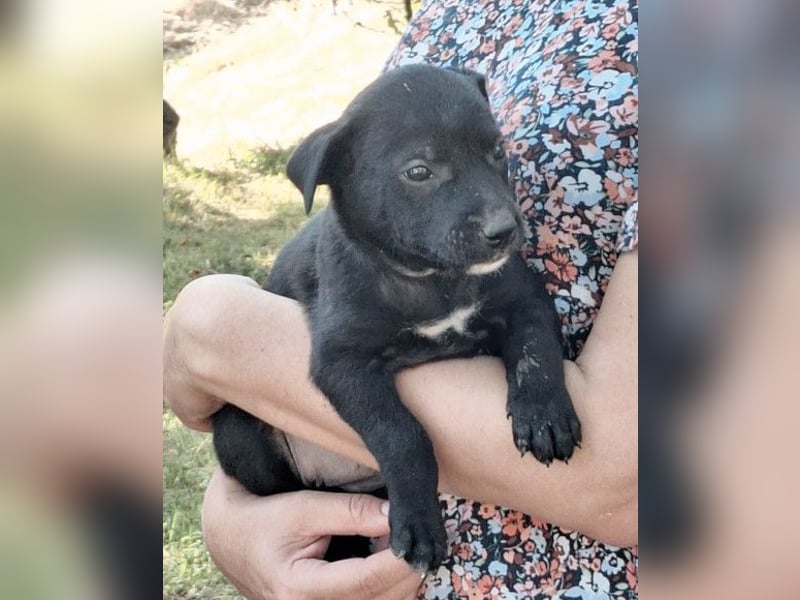 Kleine Luna ❤️ sanft, lieb + so neugierig