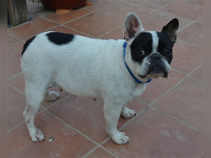 Lola
