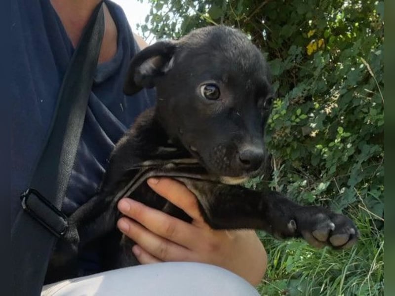 Kleine Luna ❤️ sanft, lieb + so neugierig