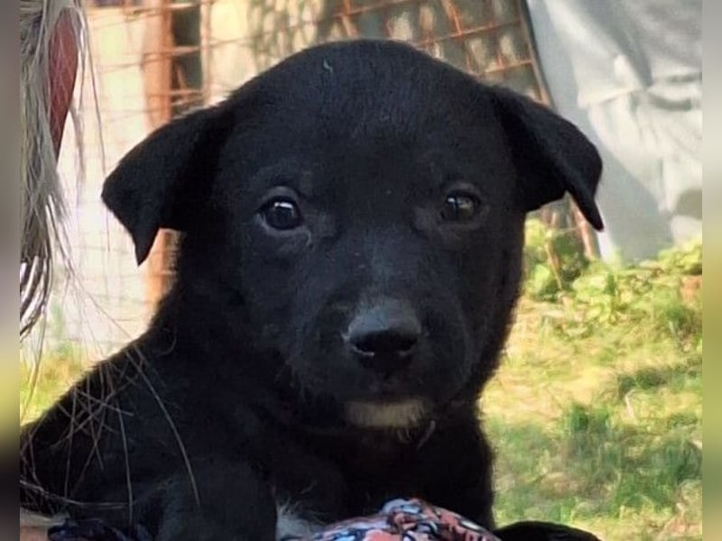 Kleine Luna ❤️ sanft, lieb + so neugierig