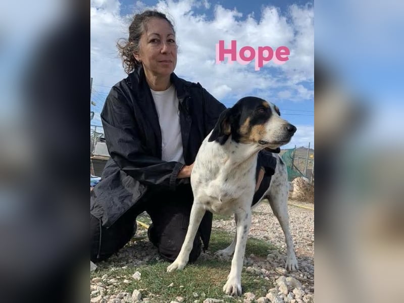 Hope, 01/23 - Überlebenskünstlerin sucht endlich ein schönes Leben