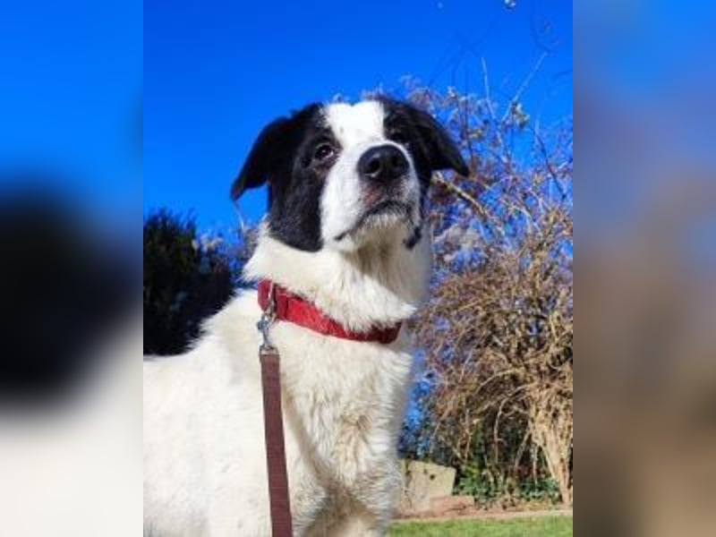 Olivia - eine Prise Hoffnung und ein Löffel Glitzerstaub