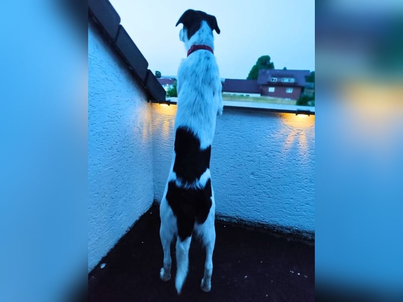 Olivia - eine Prise Hoffnung und ein Löffel Glitzerstaub