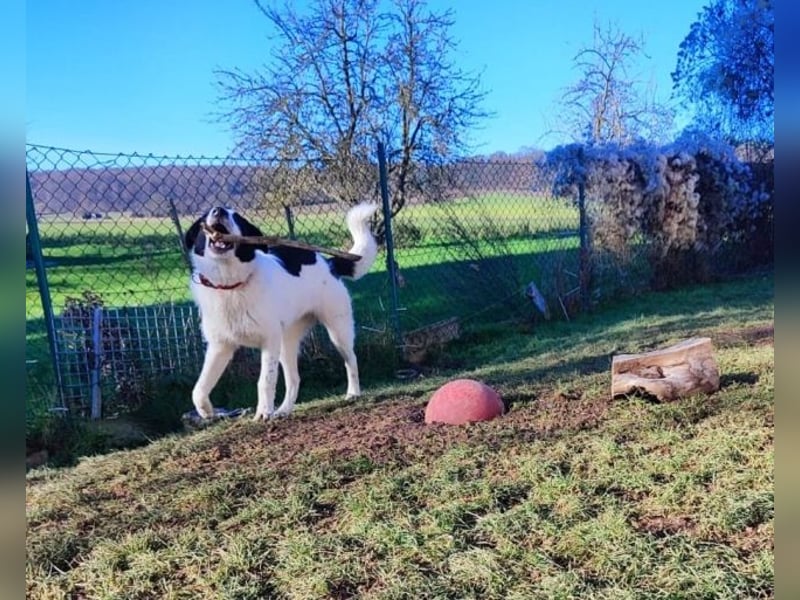 Olivia - eine Prise Hoffnung und ein Löffel Glitzerstaub
