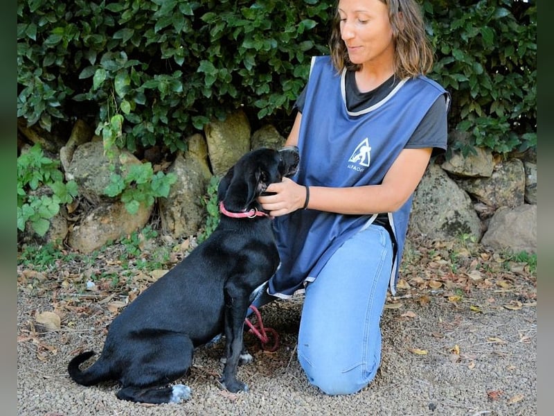 Quintina - Naseweis mit Herz, Charme und Hummeln im Hintern