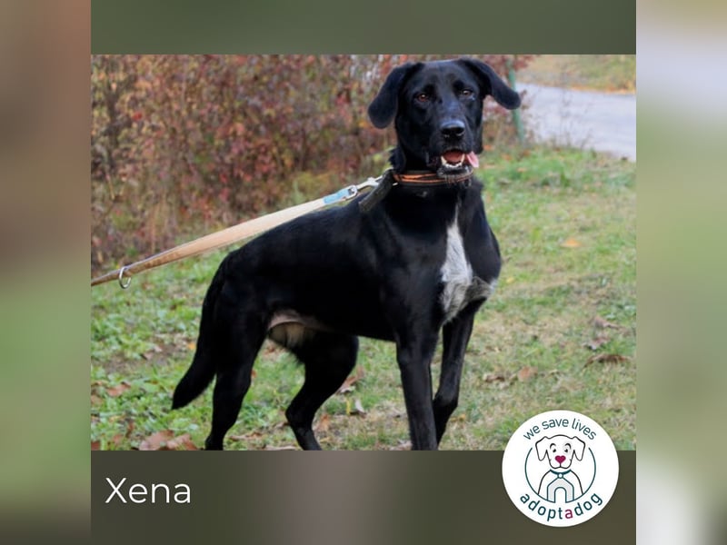  Xena: Ideal für Familien
