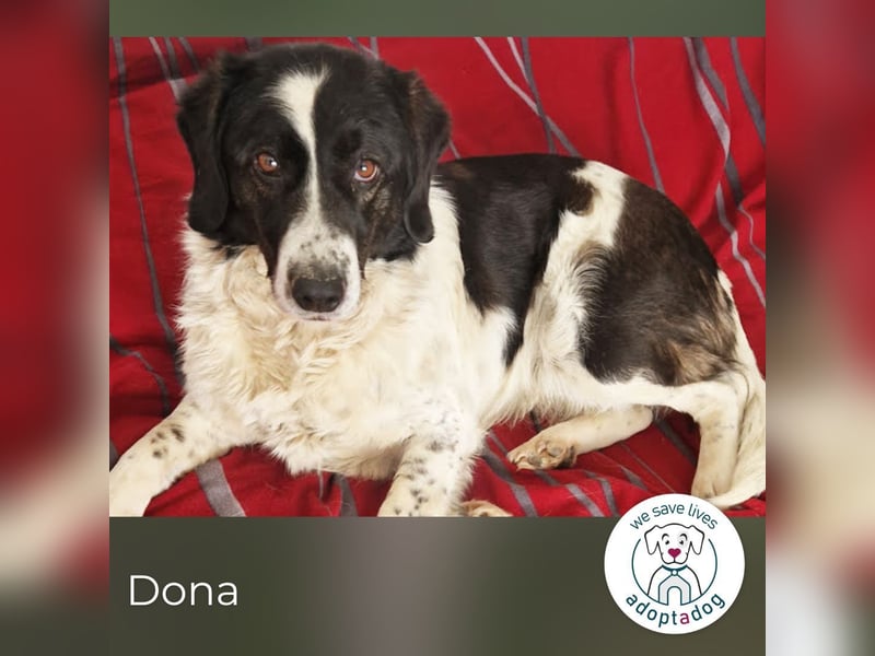 Hallo, ich bin’s: Dona