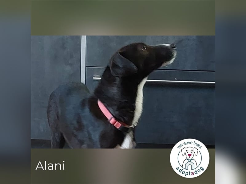 Alani: So liebevoll!