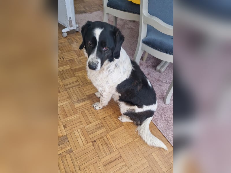 Hallo, ich bin’s: Dona
