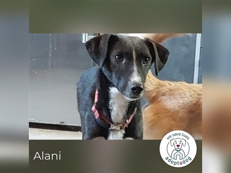Alani: So liebevoll!