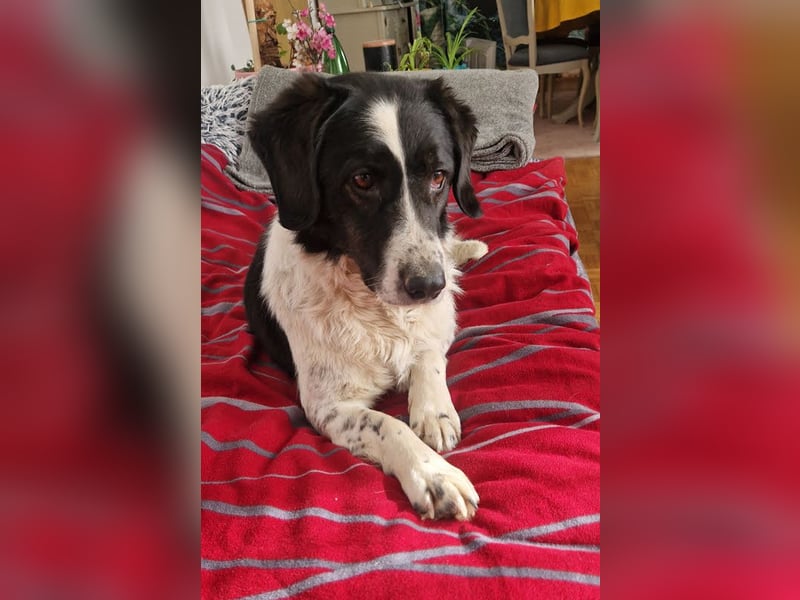 Hallo, ich bin’s: Dona