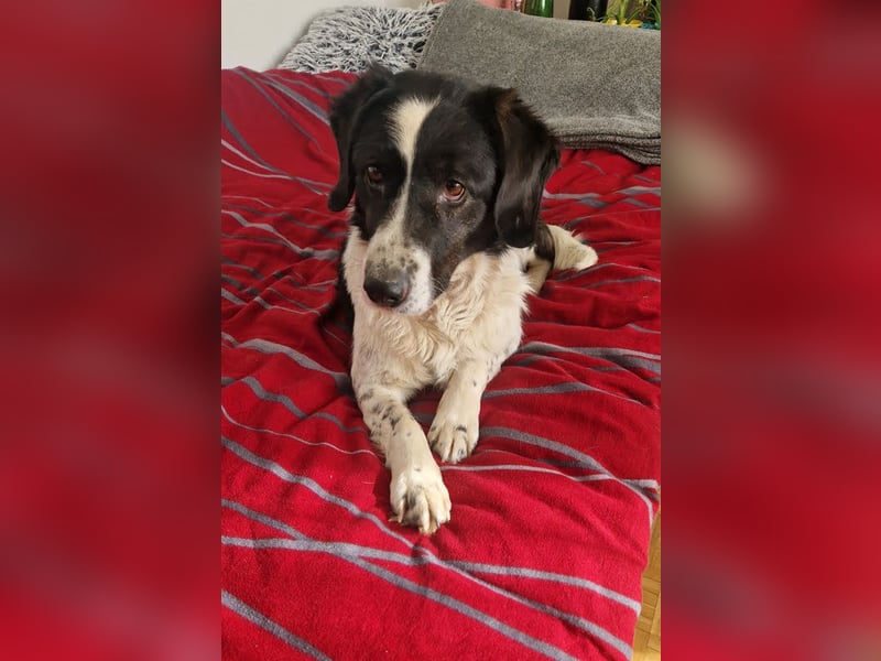 Hallo, ich bin’s: Dona