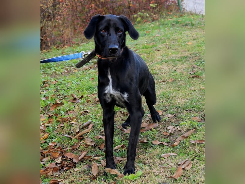  Xena: Ideal für Familien