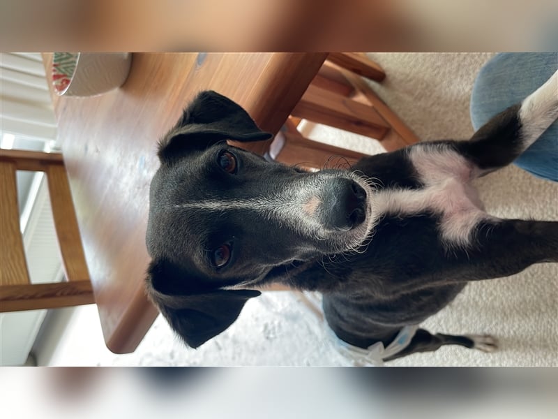 Alani: So liebevoll!