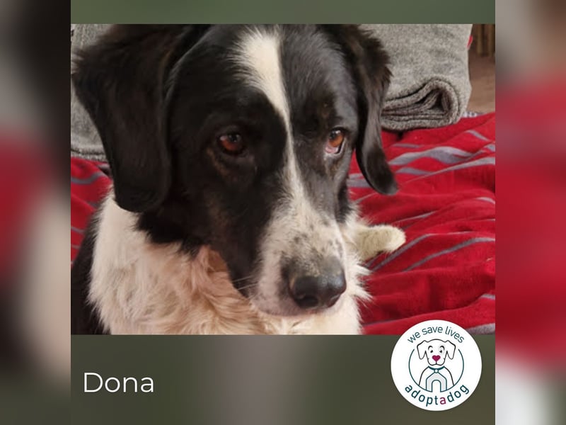 Hallo, ich bin’s: Dona