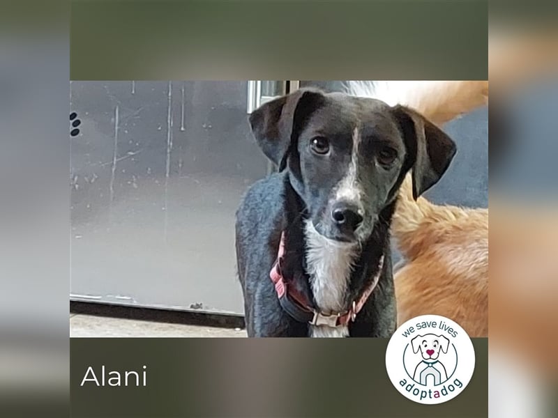 Alani: So liebevoll!