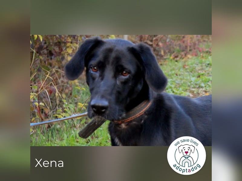  Xena: Ideal für Familien