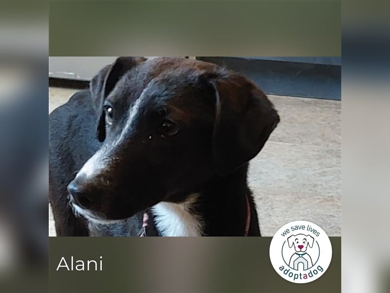 Alani: So liebevoll!