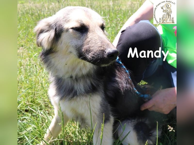 Mandy – Offen und feinfühlig!