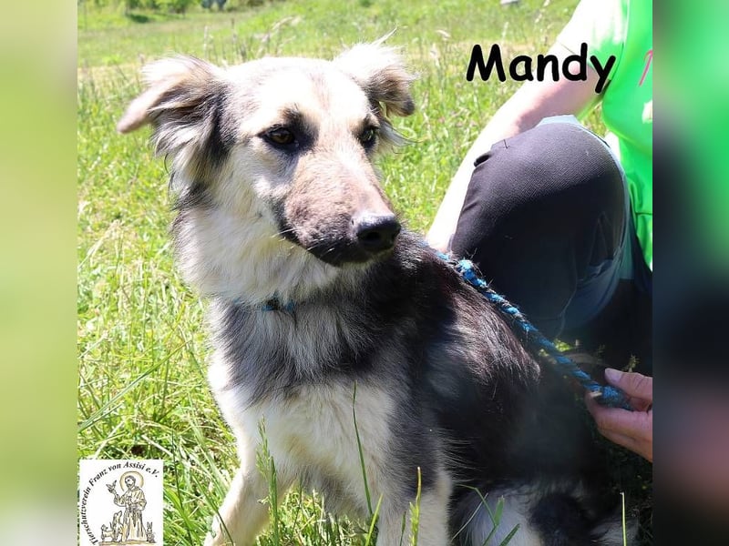 Mandy – Offen und feinfühlig!