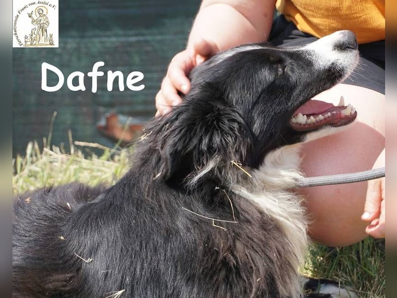Dafne – die Schönheit mit einem großen Herzen