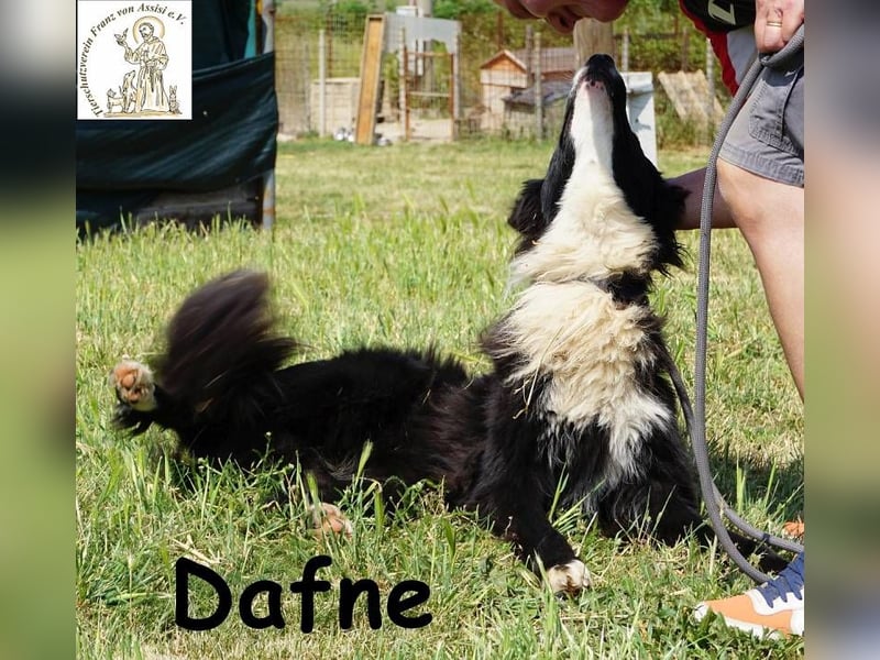 Dafne – die Schönheit mit einem großen Herzen