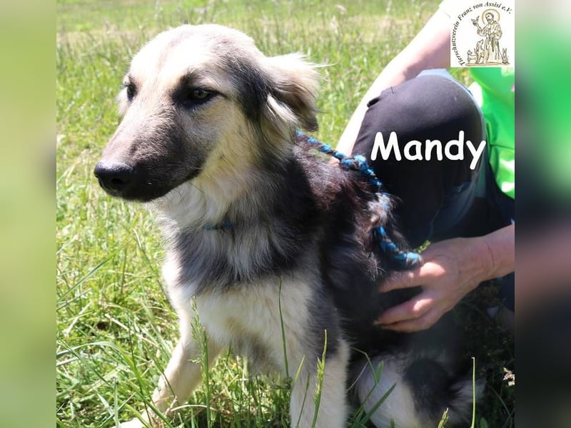 Mandy – Offen und feinfühlig!