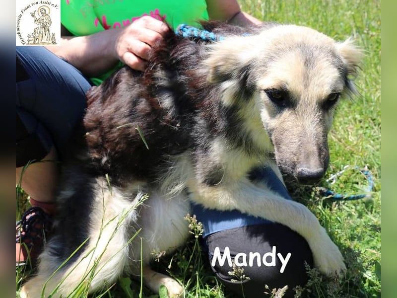 Mandy – Offen und feinfühlig!