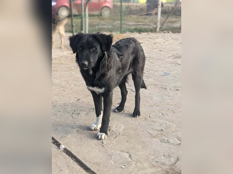 Sally möchte endlich den Shelter verlassen