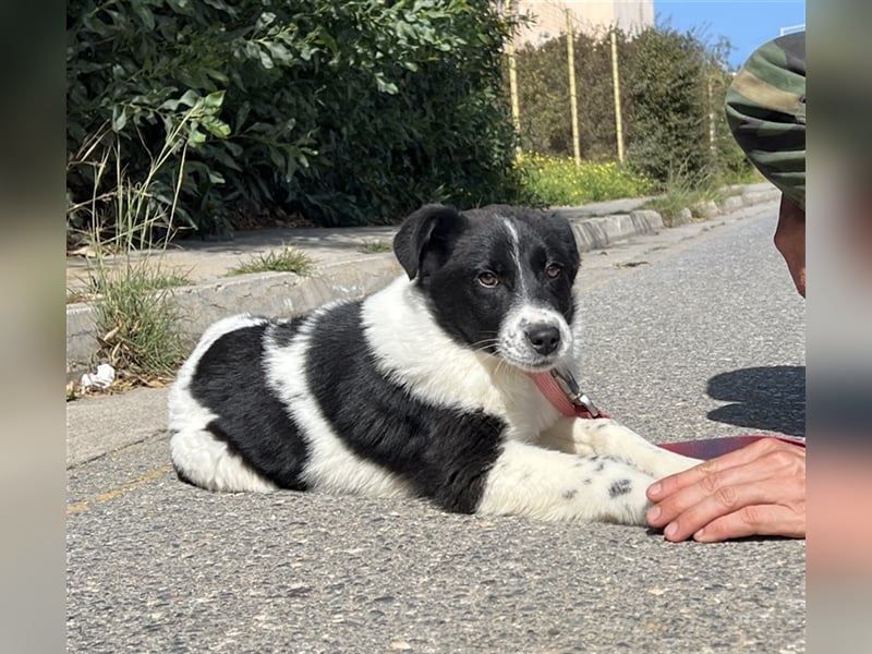 Neugierige Finja sucht ihr Traumzuhause....