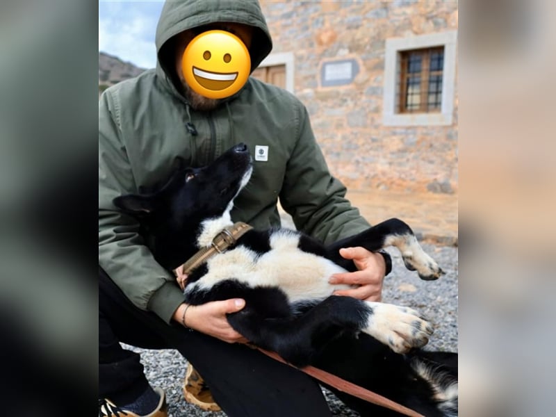 Hat Kaja dein Herz erobert?