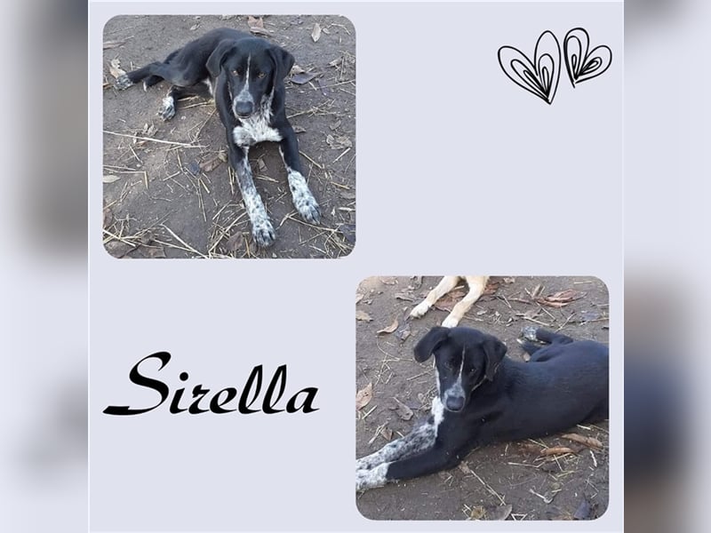 Siehst du mich! Ich bin Sirella!