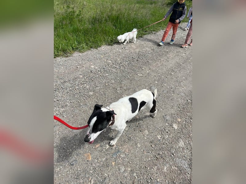 Hübsche Iris sucht liebe Familie