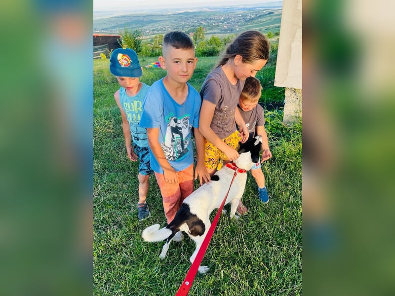 Hübsche Iris sucht liebe Familie