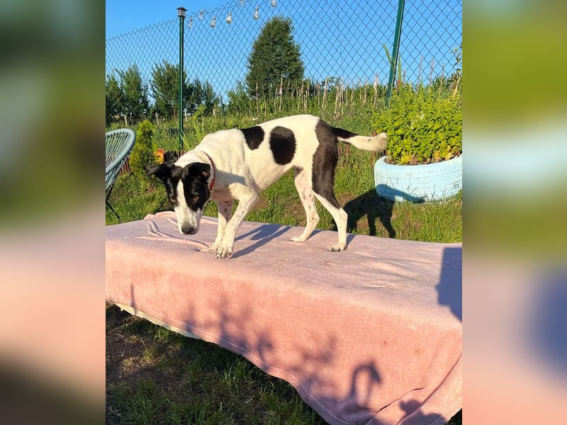 Hübsche Iris sucht liebe Familie