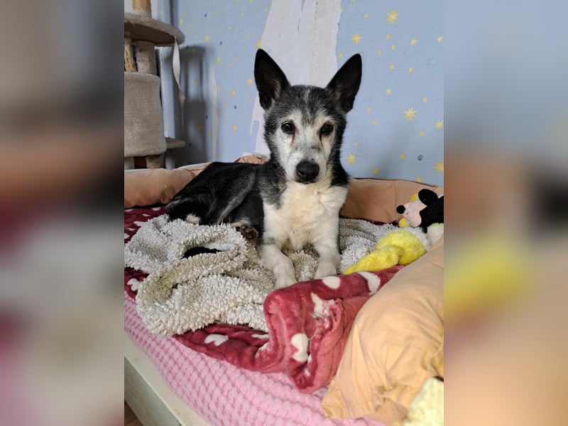 TERA ❤️  wartet in 30453 Hannover auf Dich