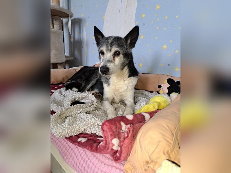TERA ❤️  wartet in 30453 Hannover auf Dich