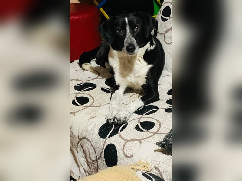 LIZA ❤ wartet in 93473 Arnschwang auf DICH