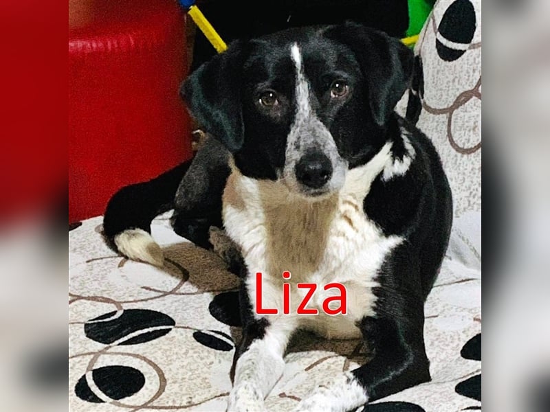 LIZA ❤ wartet in 93473 Arnschwang auf DICH